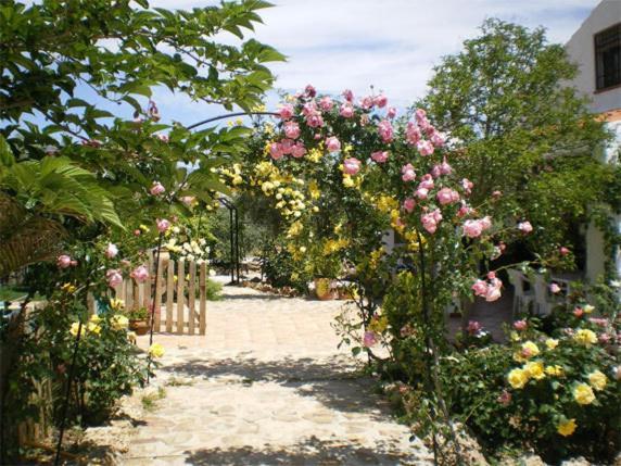 Casas Rurales Cazorla-Alcon Pozo Alcón Pokoj fotografie